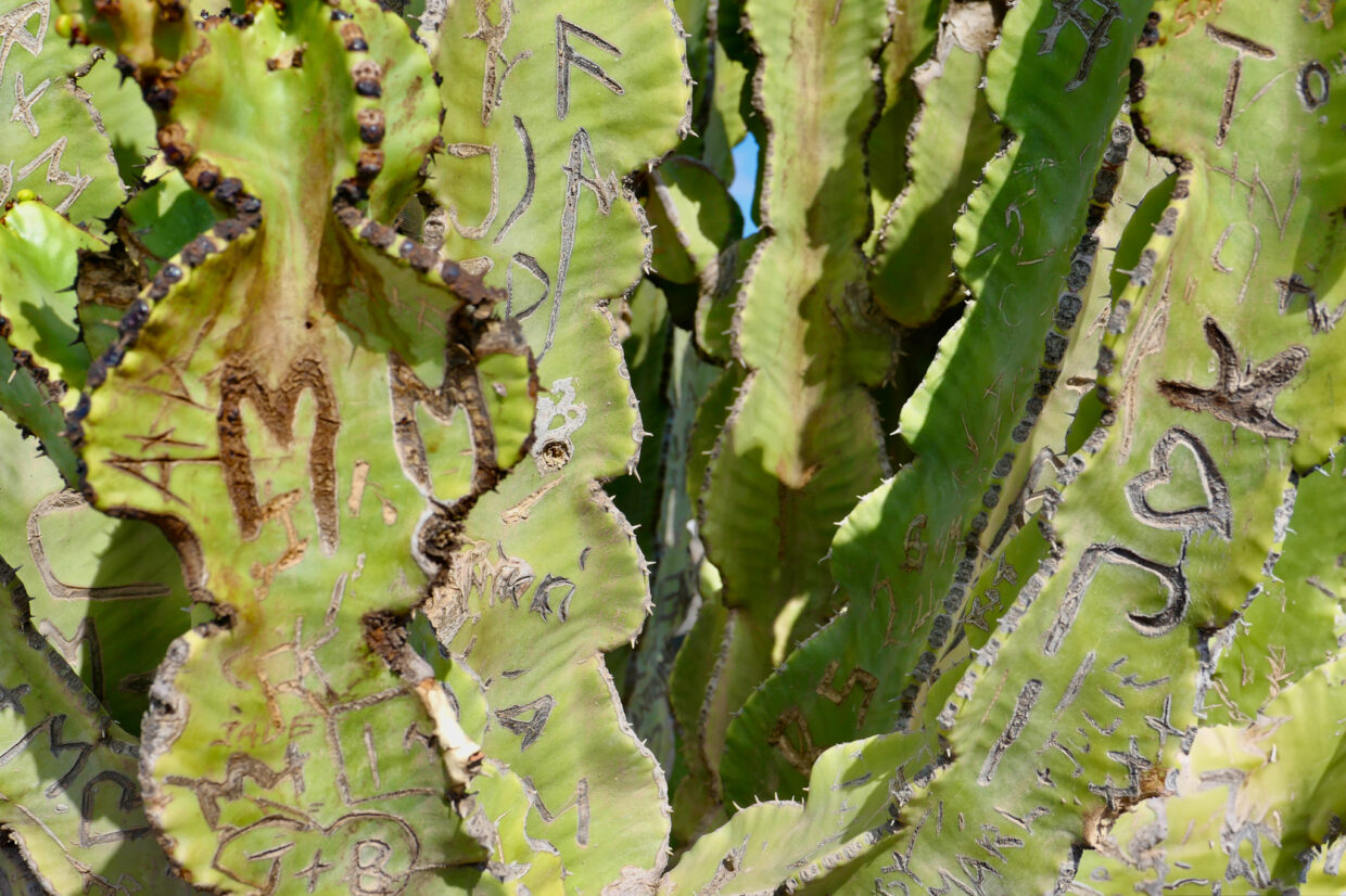 NOTIZBUCH DER LIEBENDEN